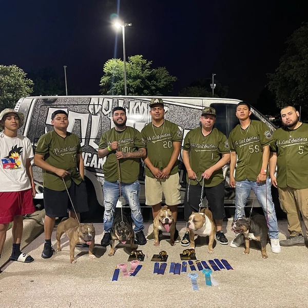 4_38791257-8896-4977-a189-3a8d082c0897